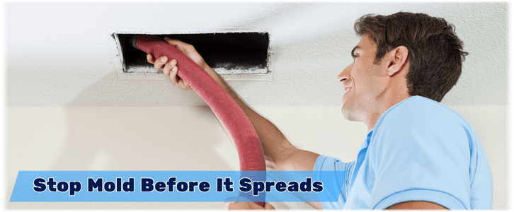 Air Duct Mold Removal in Gilbert AZ