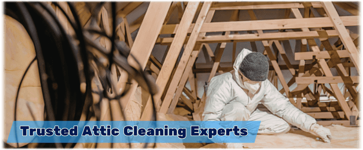 Attic Cleaning Gilbert AZ